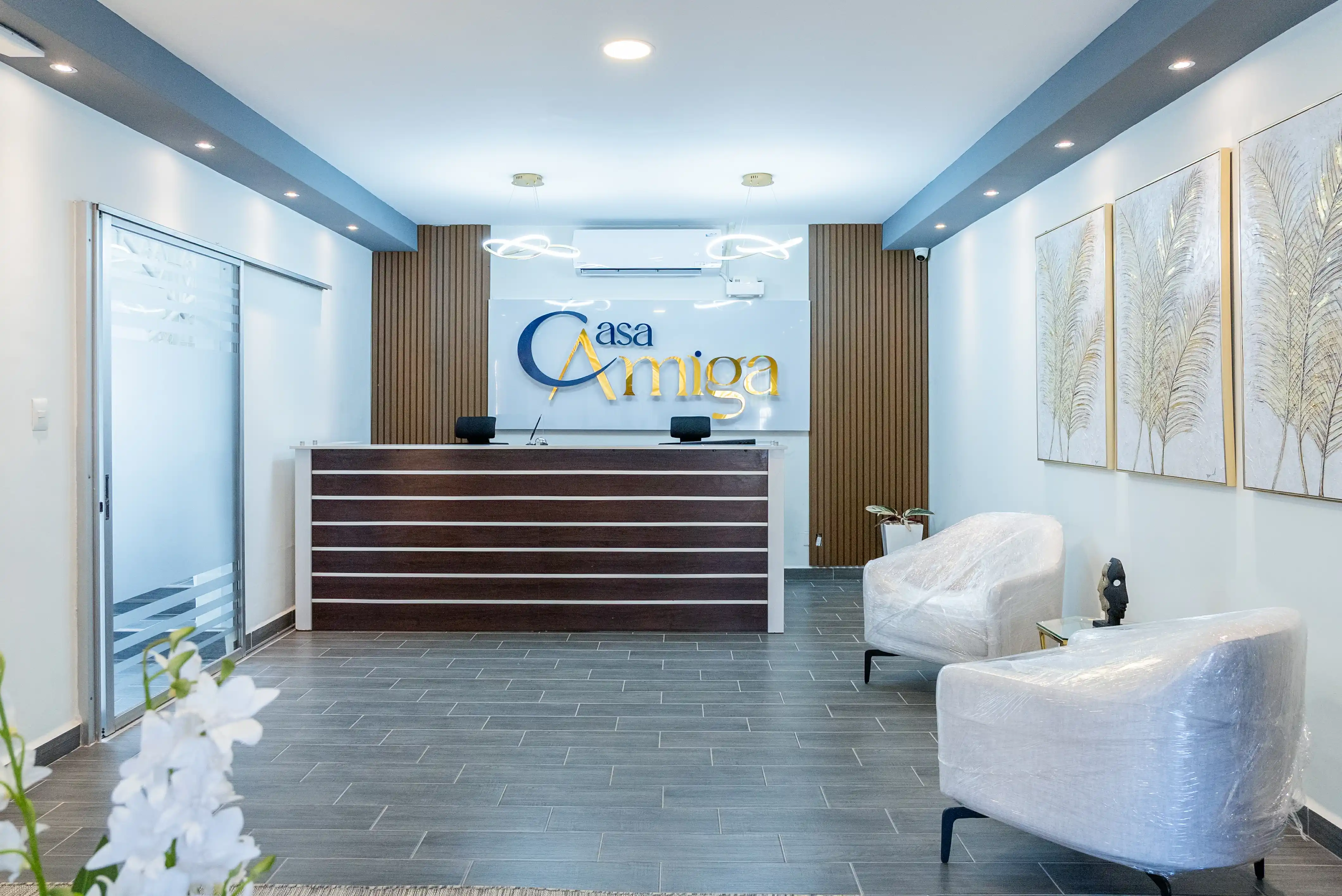 Lobby Casa Amiga